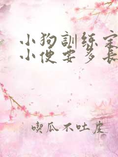 小狗训练定点大小便要多长时间