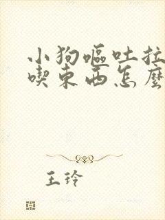 小狗呕吐拉稀不吃东西怎么办