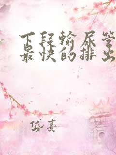 下段输尿管结石最快的排出方法