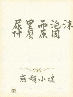 尿里面泡沫多是什么原因