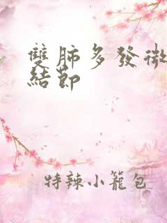 双肺多发微,小结节