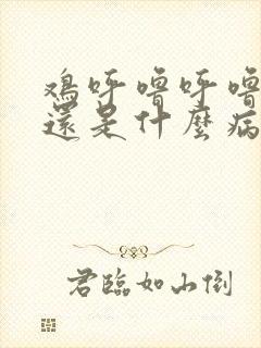 鸡呼噜呼噜的响还是什么病