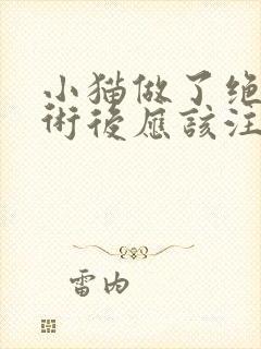 小猫做了绝育手术后应该注意什么