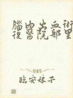 脑内出血术后康复医院那里较好