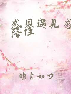 感恩遇见 感谢陪伴