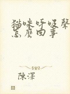 猫咪呼吸声音大怎么回事