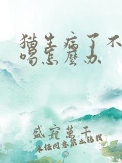 猫生病了不吃不喝怎么办