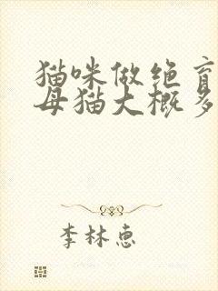 猫咪做绝育手术母猫大概多少钱