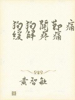 狗狗关节痛怎么缓解疼痛