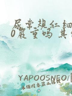 尿常规红细胞50严重吗 其他正常