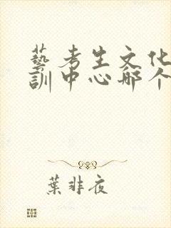 艺考生文化课培训中心哪个好