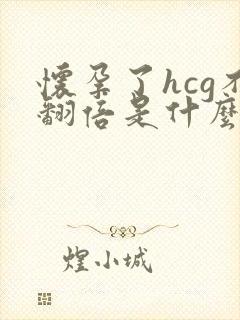 怀孕了hcg不翻倍是什么原因