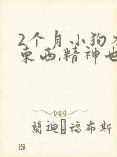 2个月小狗不吃东西,精神也不好,怎么办