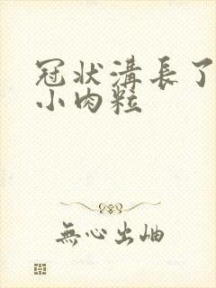 冠状沟长了一排小肉粒