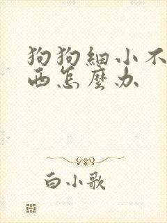 狗狗细小不吃东西怎么办