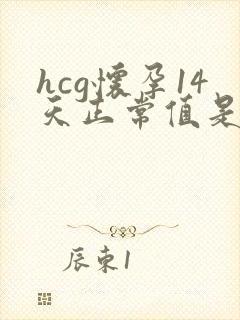 hcg怀孕14天正常值是多少