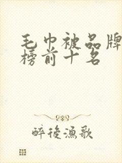 毛巾被品牌排行榜前十名