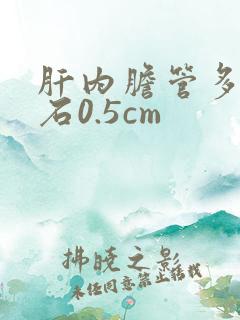 肝内胆管多发结石0.5cm