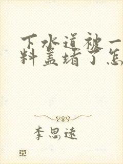 下水道被一个塑料盖堵了怎么办