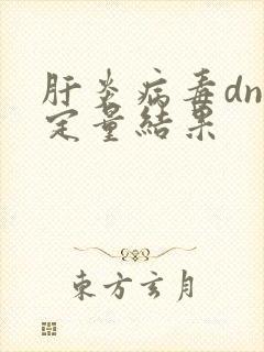 肝炎病毒dna定量结果