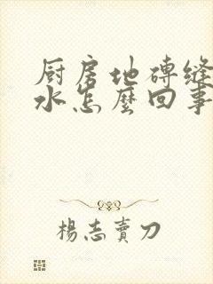 厨房地砖缝隙渗水怎么回事