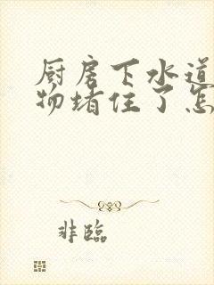 厨房下水道被硬物堵住了怎么办