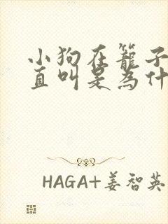 小狗在笼子里一直叫是为什么