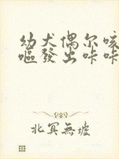 幼犬偶尔咳嗽干呕发出咔咔咔的声音