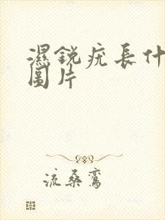 湿锐疣长什么样图片