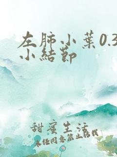 左肺小叶0.3小结节