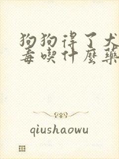 狗狗得了犬瘟病毒吃什么药能治