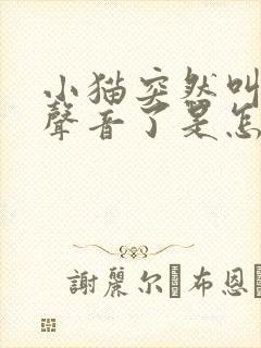 小猫突然叫不出声音了是怎么回事