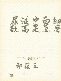 尿液中白细胞计数高是怎么回事