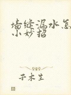 墙缝漏水怎么办小妙招