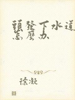 头发下水道堵了怎么办