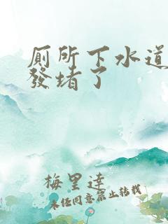 厕所下水道被头发堵了