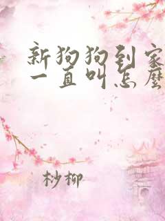 新狗狗到家晚上一直叫怎么办