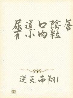 尿道口阴唇内侧有小肉粒