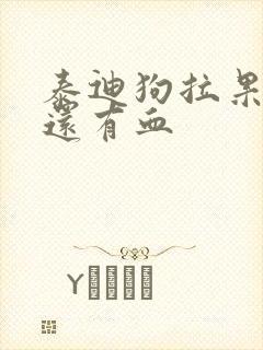 泰迪狗拉果冻状还有血