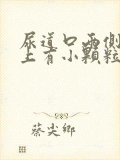 尿道口两侧阴部上有小颗粒