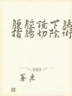 腹腔镜下胰十二指肠切除术手术步骤