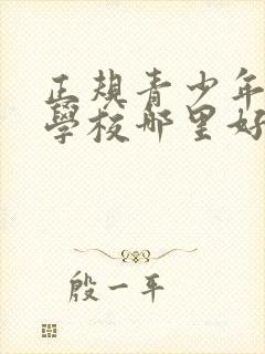 正规青少年叛逆学校哪里好