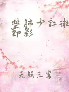 双肺少许微小结节影