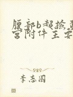 腹部b超检查子宫附件主要查什么