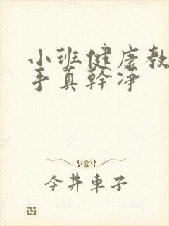 小班健康教案小手真干净