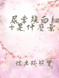 尿常规白细胞1+是什么意思