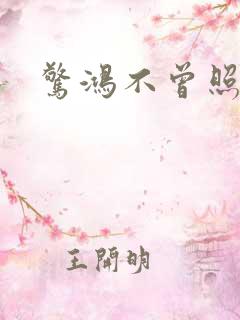 惊鸿不曾照影来