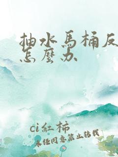 抽水马桶反臭味怎么办