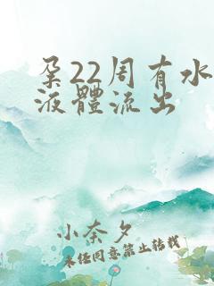 孕22周有水状液体流出