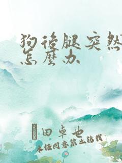 狗后腿突然瘸了怎么办